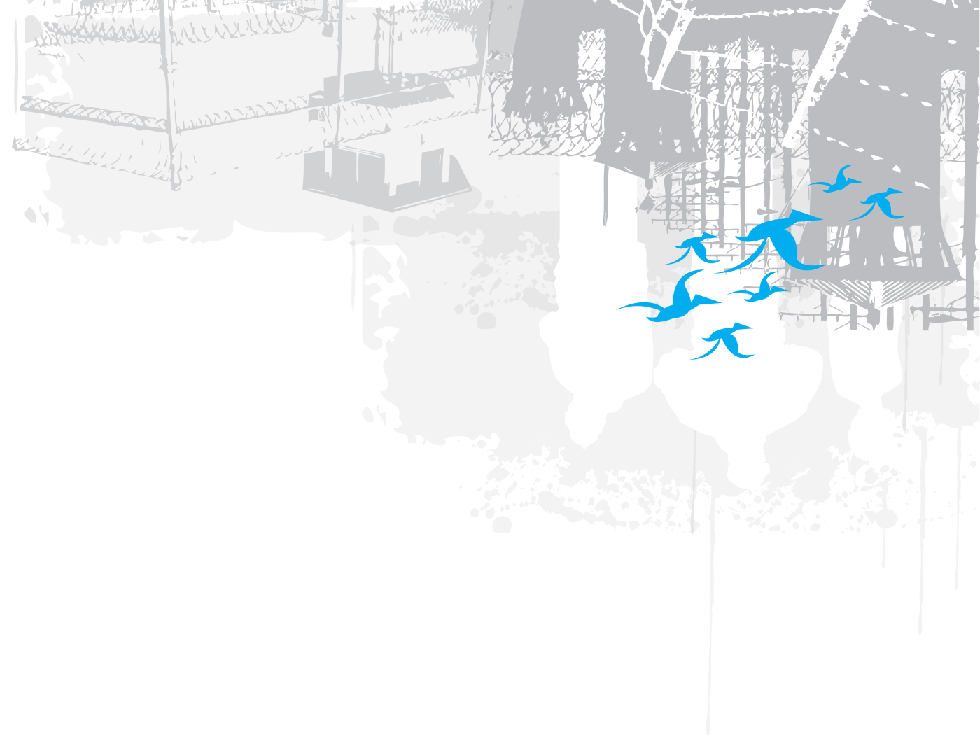 Exoneration Initiative